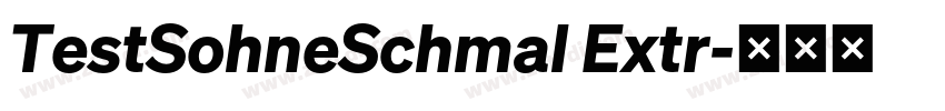 TestSohneSchmal Extr字体转换